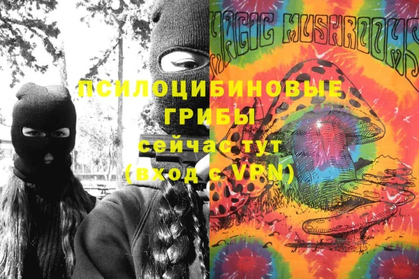 индика Арсеньев