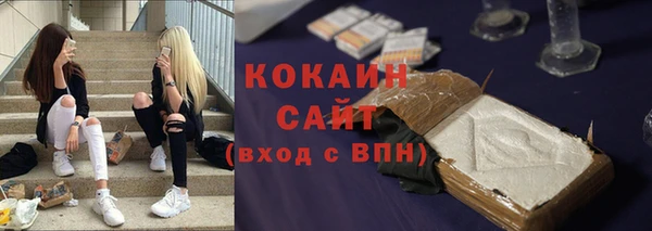 индика Арсеньев