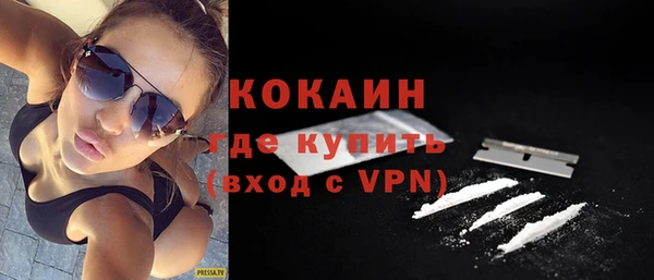 индика Арсеньев