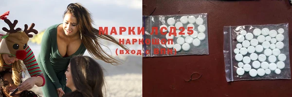 шишки Армянск