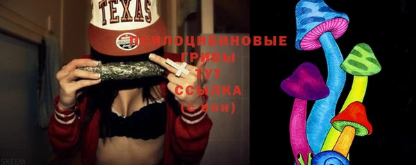 шишки Армянск