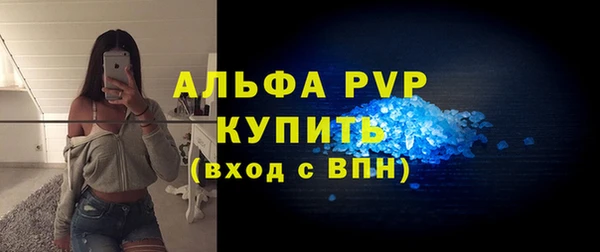 индика Арсеньев