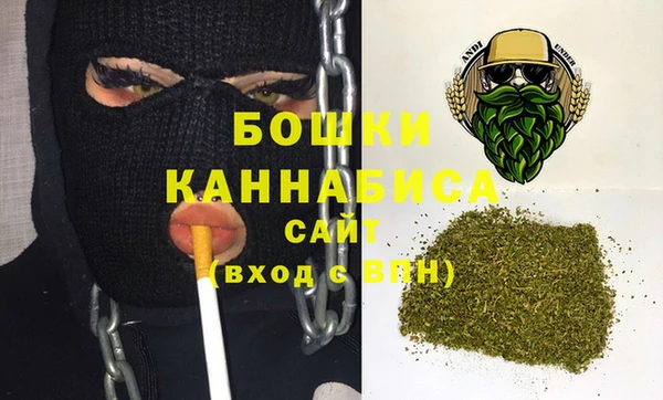 индика Арсеньев