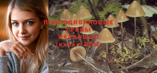 индика Арсеньев