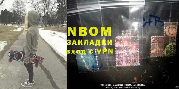 индика Арсеньев