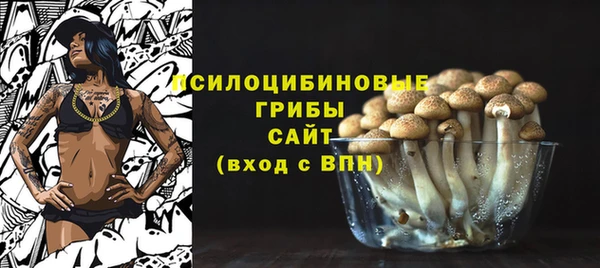 индика Арсеньев