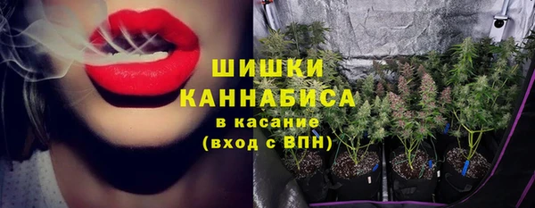 шишки Армянск