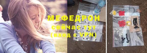 индика Арсеньев
