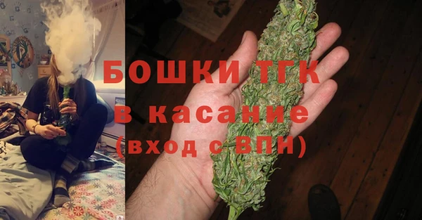 шишки Армянск