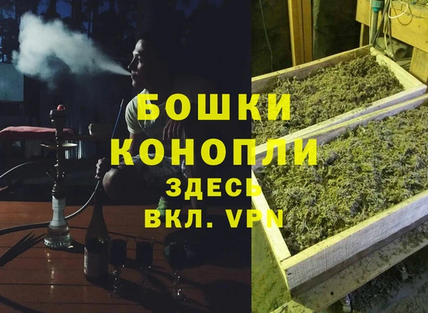 шишки Армянск
