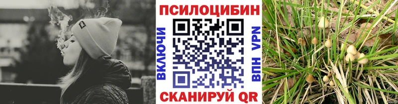 Псилоцибиновые грибы мухоморы сколько стоит Кологрив